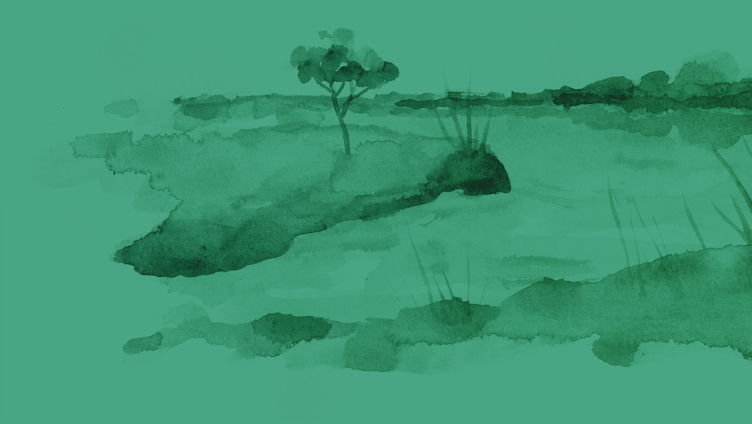 LeHuppé_ROGÉ_ILLUSTRATION_paysage-01-with-bg